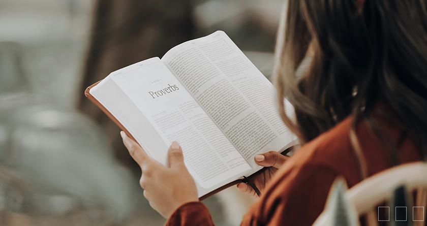 秒降论降AIGC,免费查重系统,智能改重